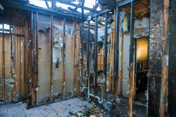 Professional Odor Removal technician working in Arlington, MN