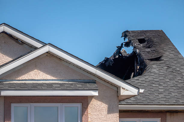 Top rated local Odor Removal specialists in Arlington, MN
